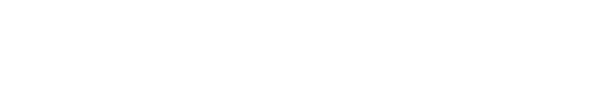 Signature of Dr. Karl Ulrich Volz